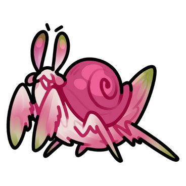 Orchid Mantis Snail