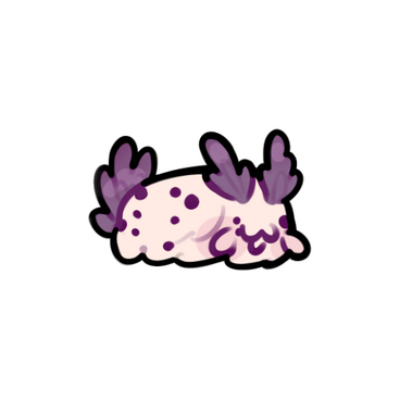 Sea Bunny Snail