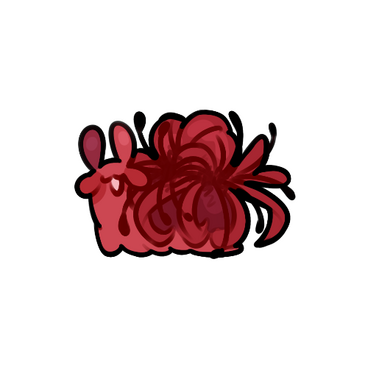 Spider Lily Snail