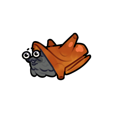 Cone Snail