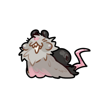 Opposum Snail