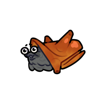 Cone Snail