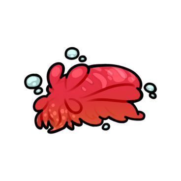 Cuttlefish Snail