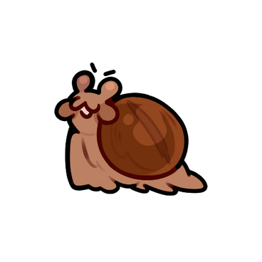 Coffee Bean Snail